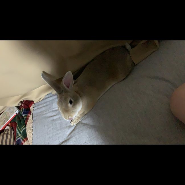 まぁたん。のカバー写真