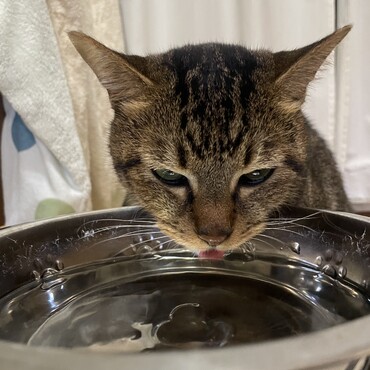 お水美味しい