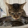 お水美味しい