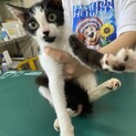 ありがとうございました。
