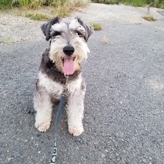 元気な男の子です