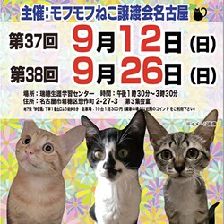 猫の譲渡会　in　名古屋市瑞穂生涯学習センター