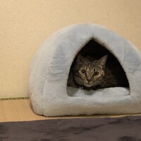 ふみちゃん