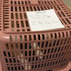 「なんだかんだで元気」サムネイル1