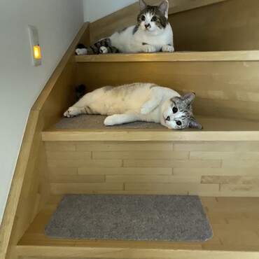 の写真