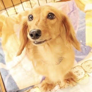 一緒にいるだけで笑顔になれちゃう、ひよりちゃん