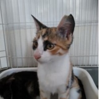 おねだり上手‼️