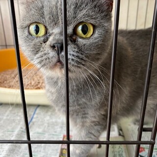 劣悪な環境からのレスキュー