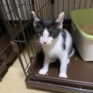 だい君生後約5ヶ月