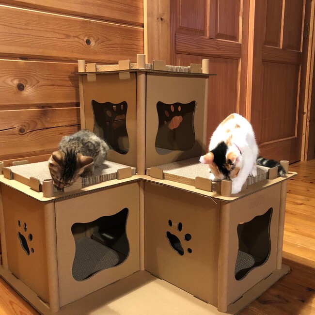 木のお家のカバー写真