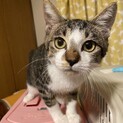 性格がとても良い男の子