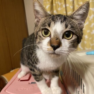 性格がとても良い男の子