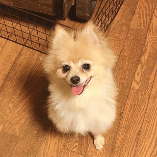 ありがたいことにご家族に迎えていただきました