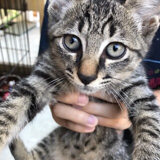 庭で産まれた、遊ぶのが大好きな男の子！！