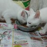 手術後初ごはん