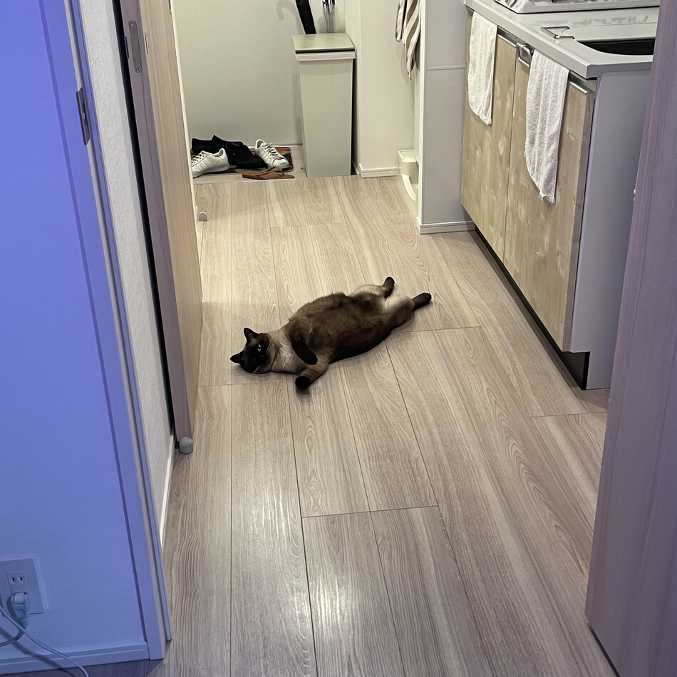 Bernie (バーニー）のカバー写真
