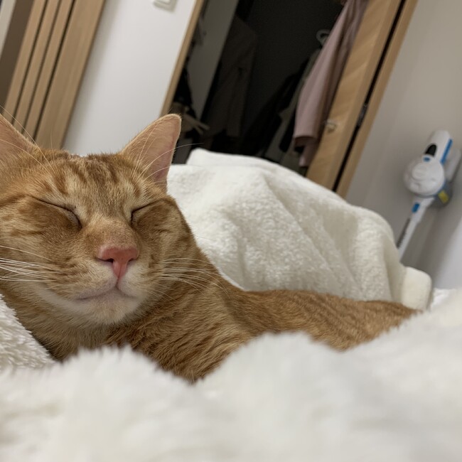 みゆぼのカバー写真
