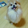 るうちゃん♪