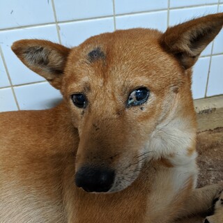 収容期限1週間しかないです