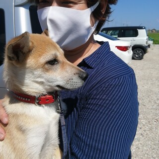 大垣のＭさんの小太郎くんになりましたシンくん