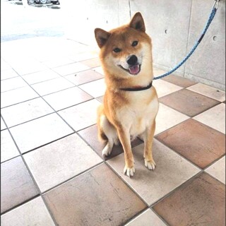 問い合わせ有一旦募集保留