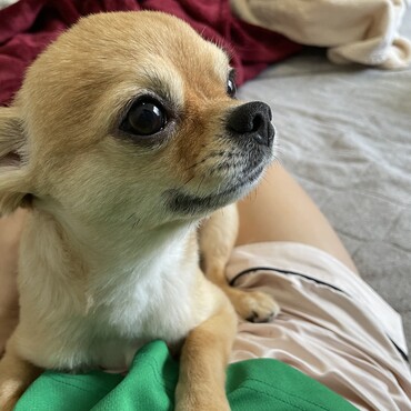 朝から甘えん坊。毎日可愛いなぁ。
