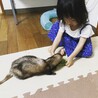 gumihatimitu