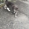 やまナオ