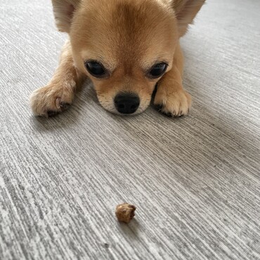 待て中…です。笑
