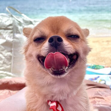 夏だー。海だー。な写真♬