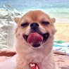 夏だー。海だー。な写真♬