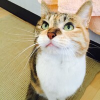 みーちゃん