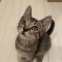 天真爛漫★表情豊かなハジメ君