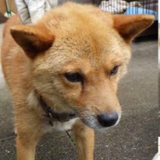 10キロなつっこいこ