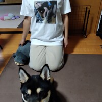 ひじき