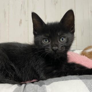 仲良し兄弟◇すばる＆くうが◇