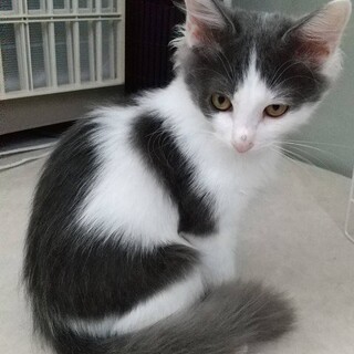 おもちゃに夢中♪  むーくん