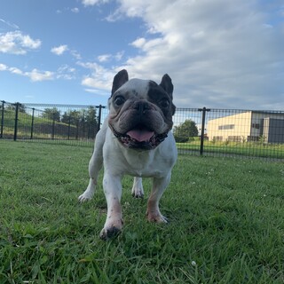虹の橋へ。沢山の応援を頂きありがとうございました☆