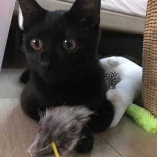 印刷所で泣いていた兄弟