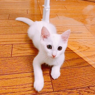 9/5西千葉ෆ⃛天真爛漫な女の子ෆ⃛さくらちゃん