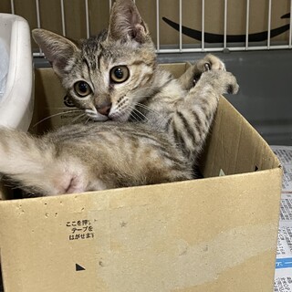 モッチー(愛幸ちゃん)お幸せに！