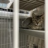 モッチー(愛幸ちゃん)お幸せに！ サムネイル4