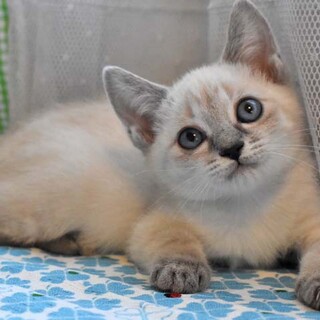 ひなちゃんは可愛さ全開！
