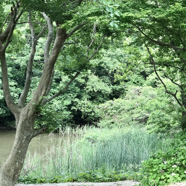 mxf01744のカバー写真