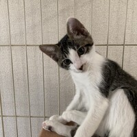 そら