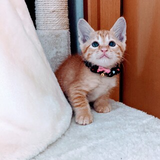 困り顔？ほっとけなーい♡♡男のコ♡