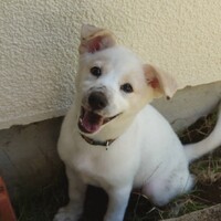 エヌ