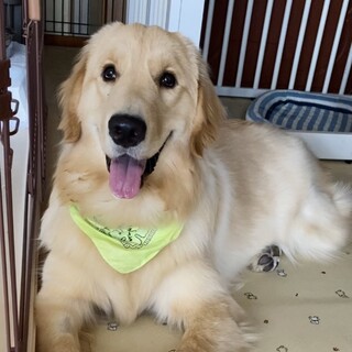 天真爛漫！一緒に遊んで〜♪ 8ヶ月るりちゃん