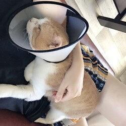 「最近の茶色さん」サムネイル2