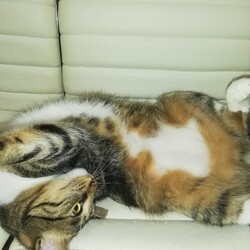 「ふく&てまり誕生日おめでとう」サムネイル2